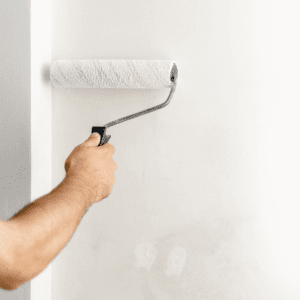 Ceiling & Wall Primer